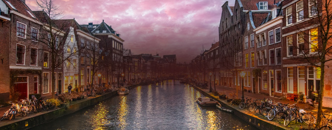 最新のエディター厳選画像